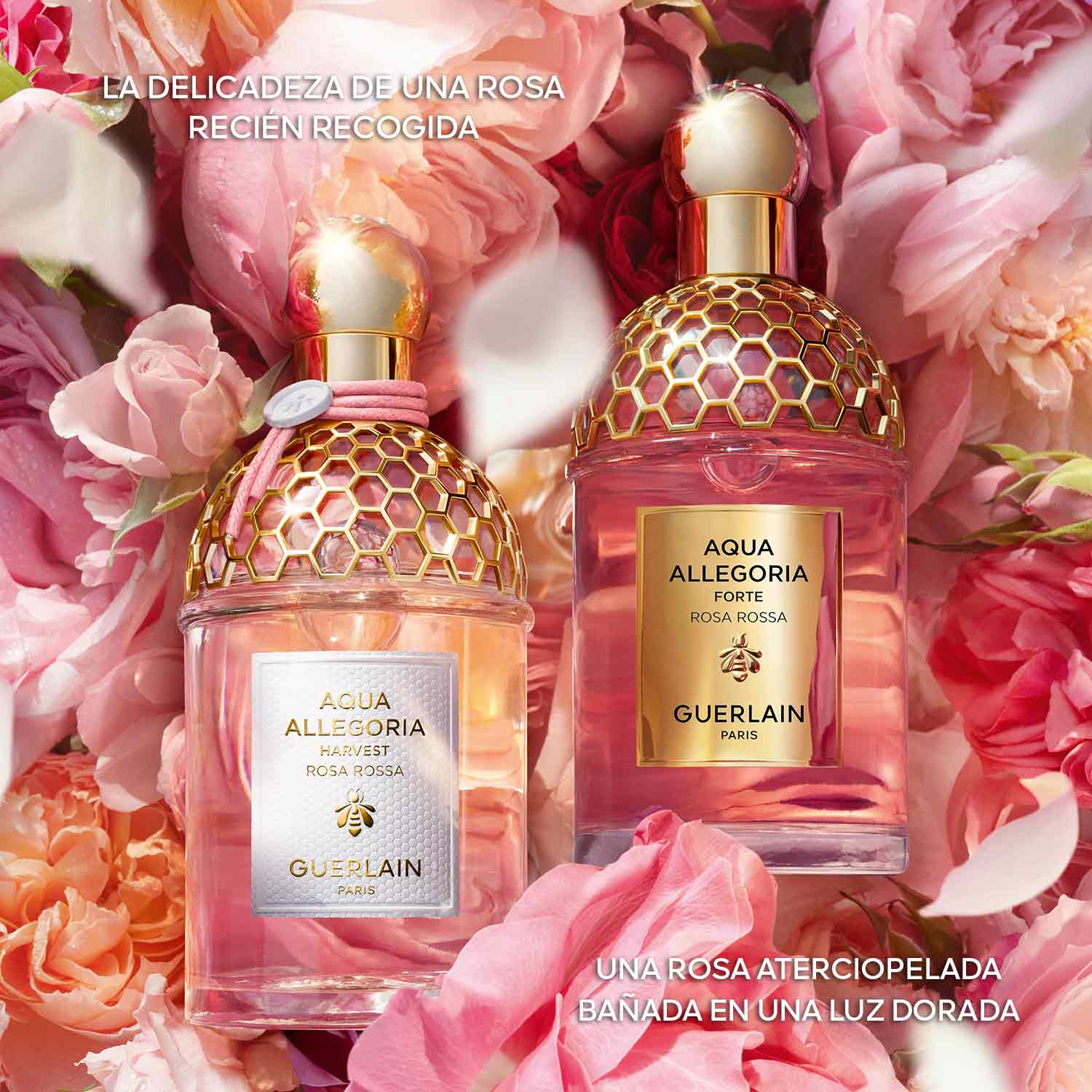 AQUA ALLEGORIA HARVEST EAU DE TOILETTE ROSA ROSSA